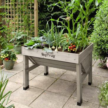 Grey VegTrug