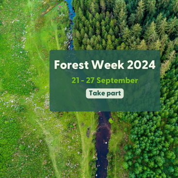 Forest Week 2024