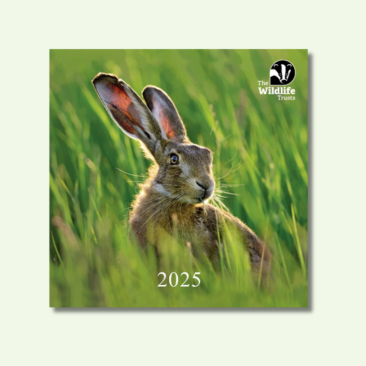 Wildlife Trusts 2025 calendar