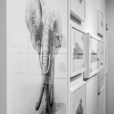 Heart and Soul Exhibition Heart and Soul Exhibition