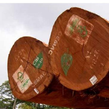Timber Scorecard