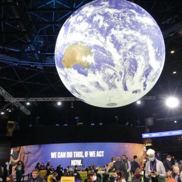 FSC at COP 7